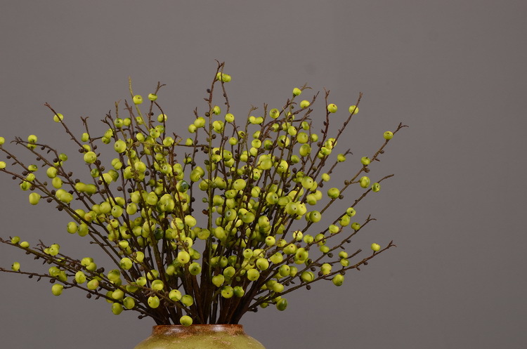 Artificial rosehip, artificial plant fruit, berry, American decorative floral arrangement materials, photography props pic 26