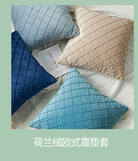 沙发靠枕靠垫抱枕PP棉内芯正方形无纺布磨毛布沙发枕芯厂家供应详情9