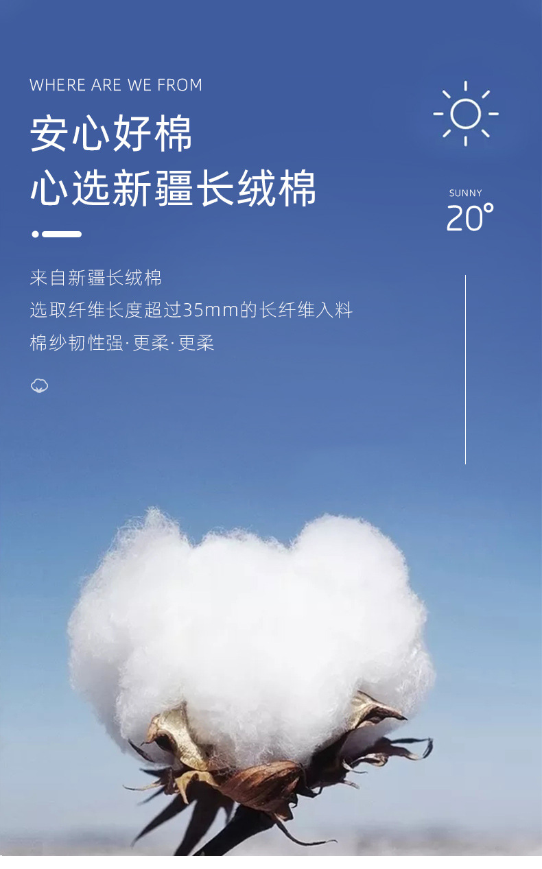 详情 (7).jpg