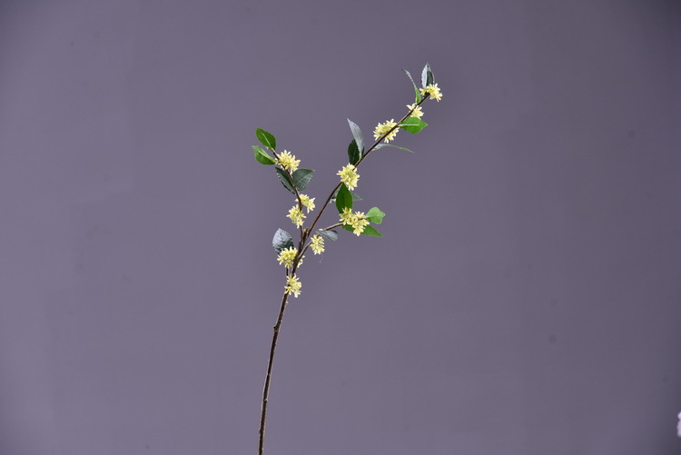 Wholesale artificial yellow osmanthus and laurel, green landscape garden artificial trees, decorative golden osmanthus leaves, home, hotel and homestay artificial flowers pic 23