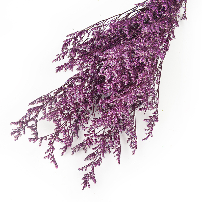 永生情人草批发干花云南干花花束保鲜花情人节礼物配材春节插花                               详情10