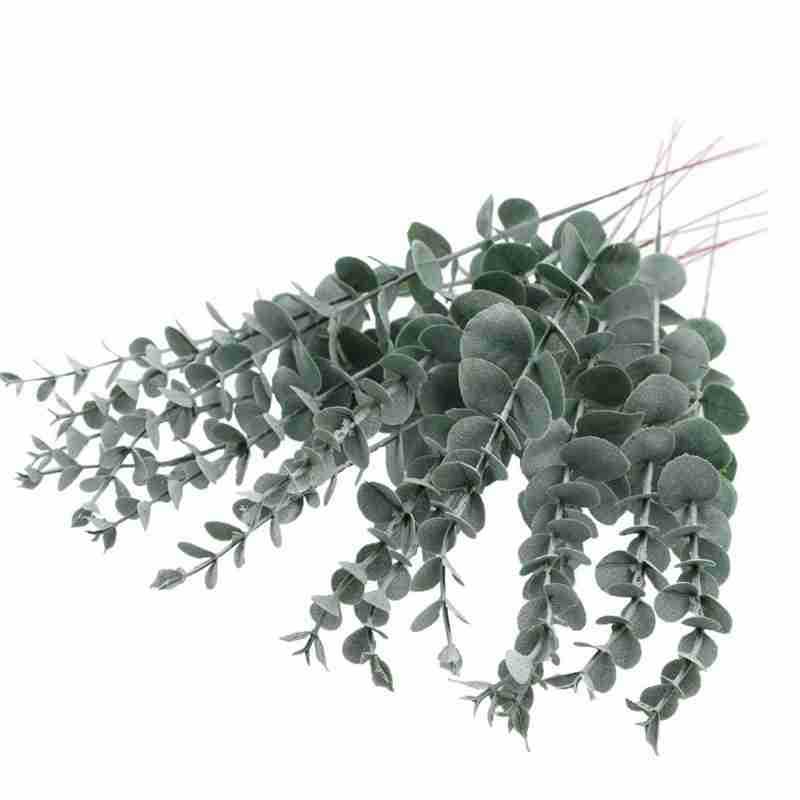 亚马逊仿真单支尤加利38cm金钱串婚庆家居装饰仿真水草详情4