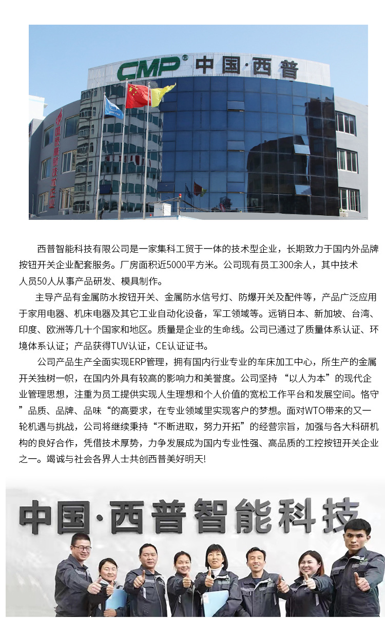 CMP Xipu 16MM metal toggle switch rocker arm with light, two-position waterproof toggle switch rocker pic 18