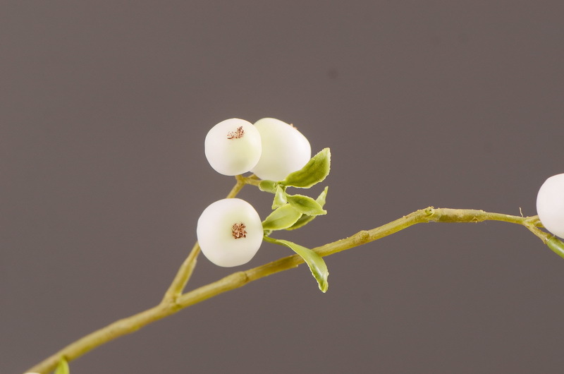 Factory direct sales of simulated small apple branches with leaves for home entrance and hotel soft decoration, as well as simulated fruit branches of the money fruit pic 4