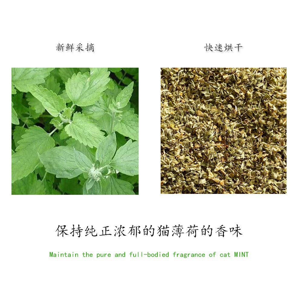 Cat grass, cat mint, cat toys, Mu Tianliao bags, cat mint, cat excitement grass, pet supplies, cat anti-depression pic 7