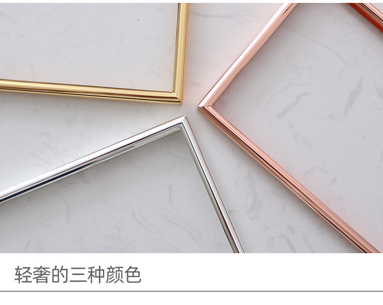跨境货源 北欧ins折叠双联金属玻璃相框8寸植物标本摆台6寸7寸A4详情7