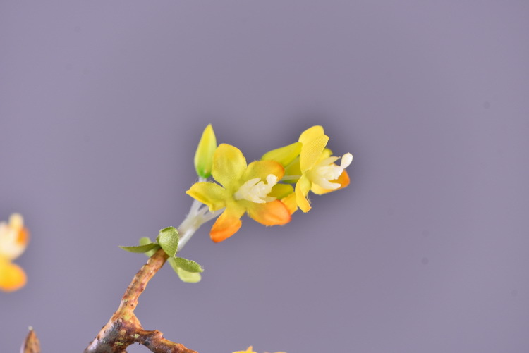 Factory wholesale of high-end artificial flowers, artificial purple rosewood flowers, soft decoration floral art for hotel and homestay model rooms, and artificial locust flowers pic 9