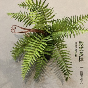 PU郁金香仿真手感郁金香花家居装饰摆件婚庆摄影道具假花批发详情5