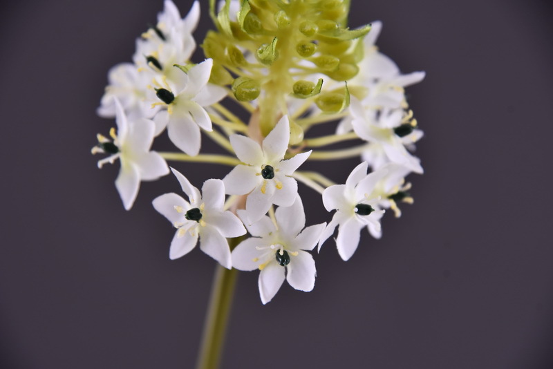 High-end artificial flower wholesale with simulated Bethlehem Star line floral design and simulated velvet decorative artificial flowers pic 7