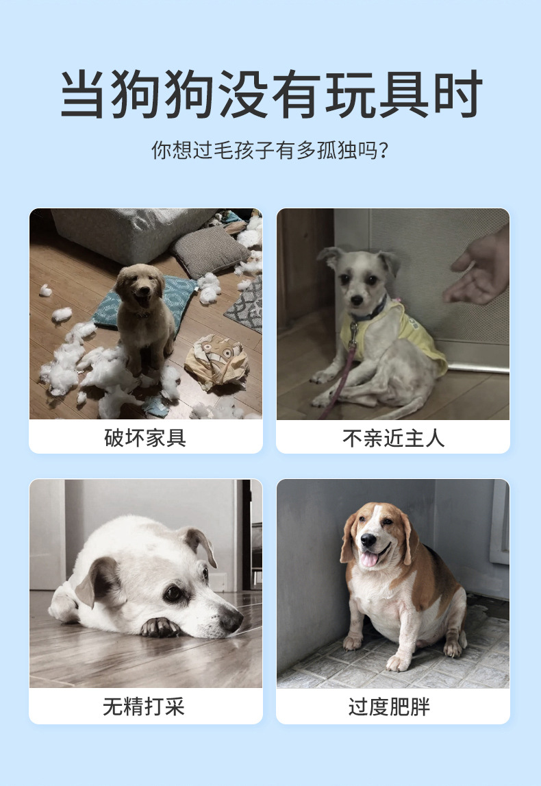 Dog rope knot toys, biting and teething sets, pulling and biting rope teething toys for large, medium and small dogs, interactive toys pic 3