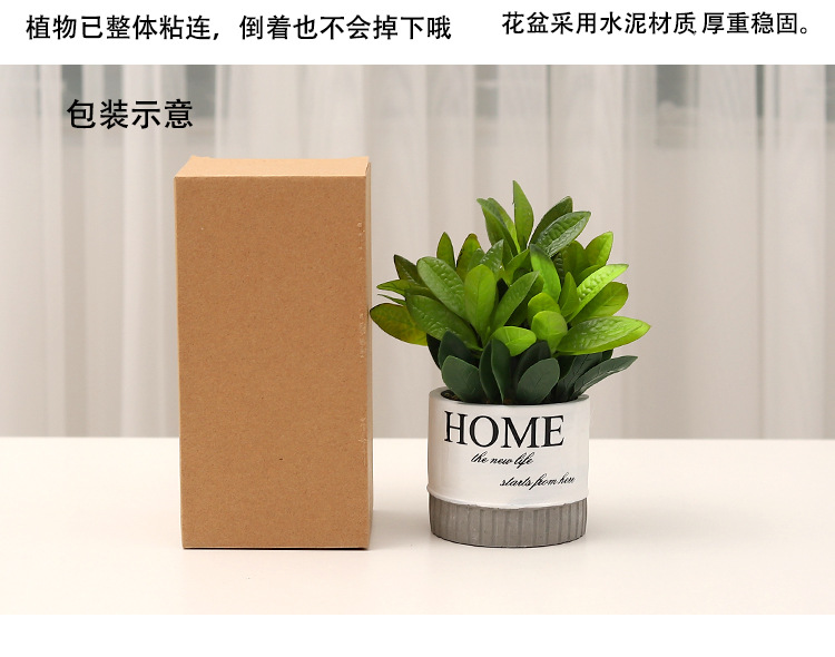 Nordic-style creative small clear cement POTS, artificial plant potted plants, office desk atmosphere decoration and arrangement pic 21