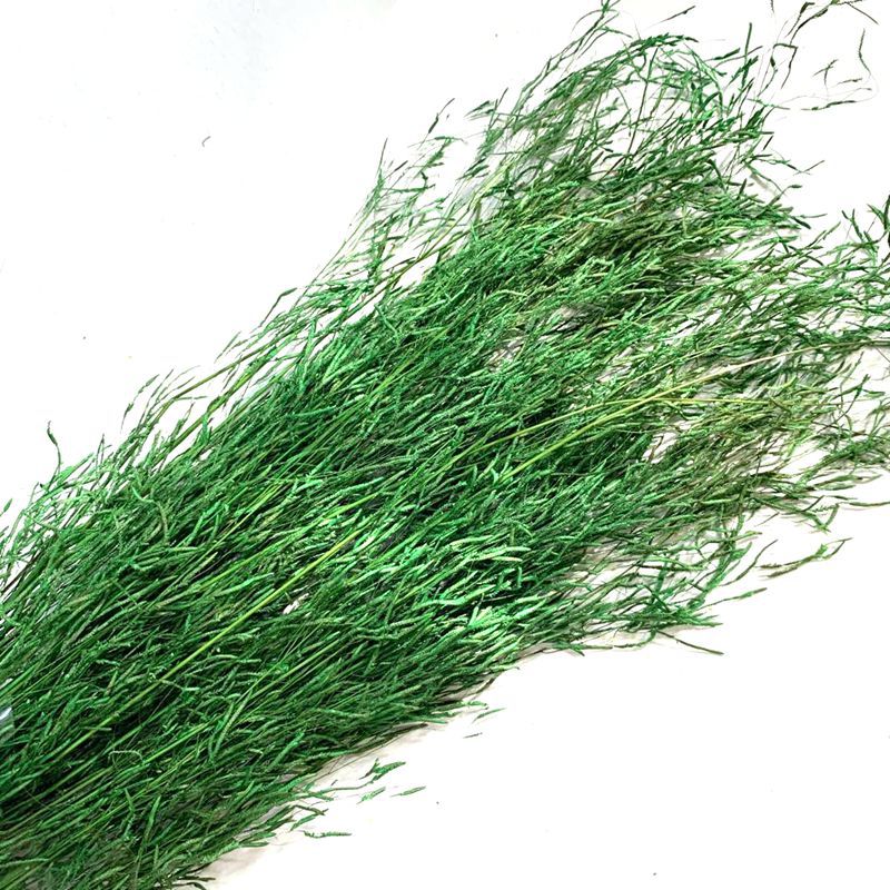 Natural plant preserved dried flowers, imported wind-driven grass handicrafts, flower arrangement, floating bottle, keychain with grass pic 11