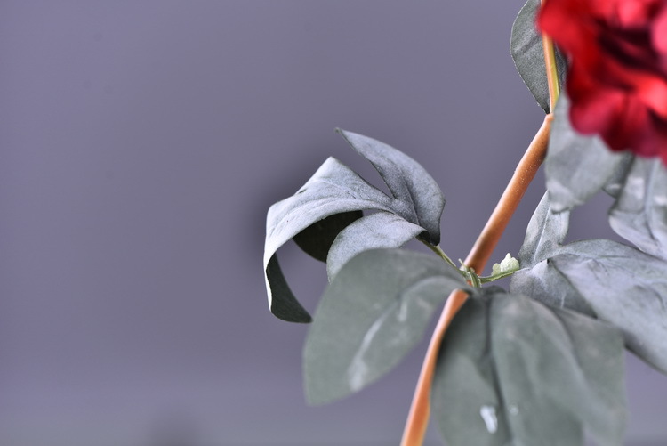 Factory direct sales of 2 simulated peonies, retro charred edge simulated peonies, soft decoration floral art for living rooms, lobbies and homestays pic 58