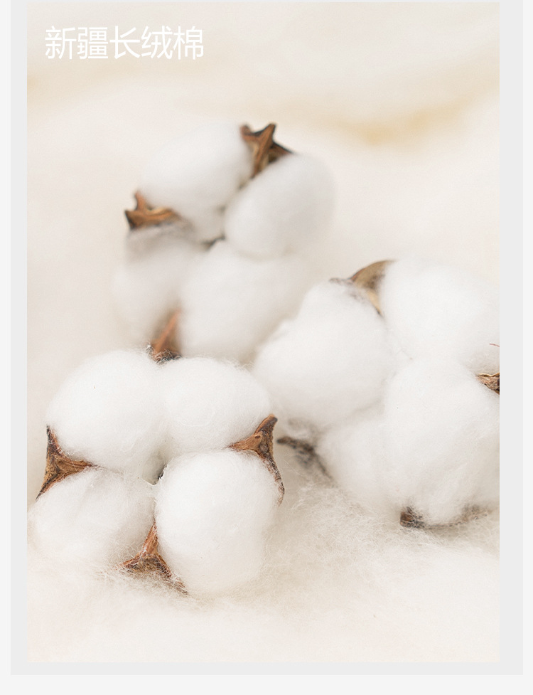 精梳棉夏薄中筒袜纯棉男袜夏季袜子女防臭抗菌袜子男休闲女袜批发详情4