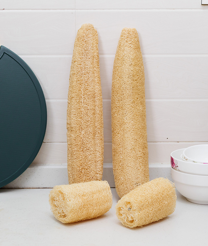 Natural farm-style loofah dishwashing cloth, loofah kitchen cleaning scouring pad, old loofah dishwashing cloth, general store pic 6