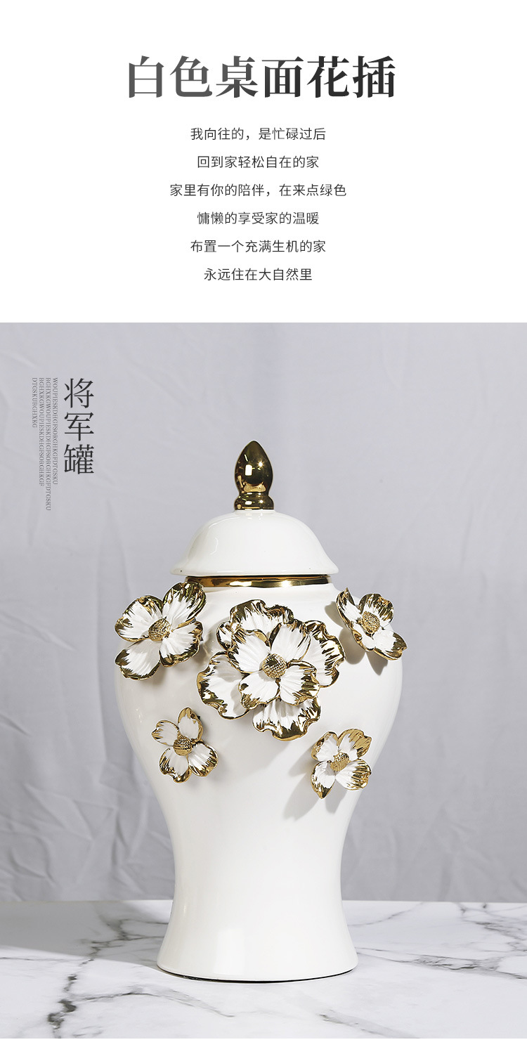 New ceramic electroplated decal golden general jar, European-style flower arrangement vase, handicraft display item, decorative storage jar pic 3