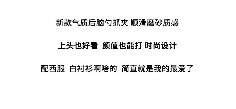 French elegant headwear for autumn and winter, including plush updo hair clips, large shark clips, hair clips and high-end hairpins wholesale pic 34