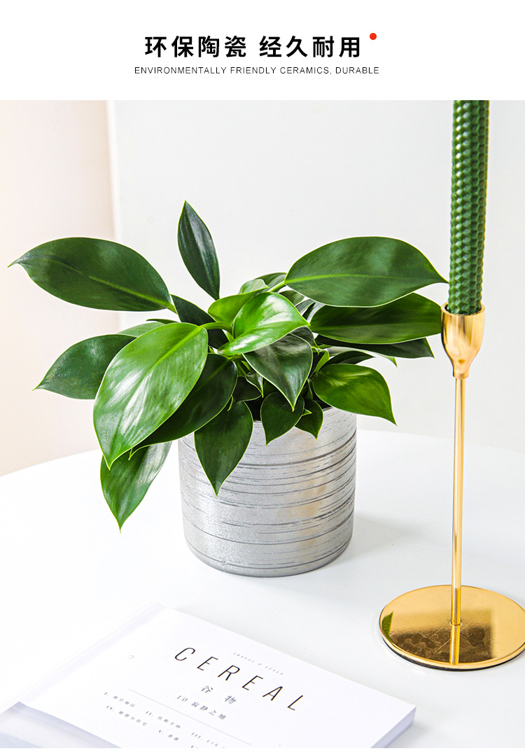 Chinagoods Du Qi Hotel supplies: European-style simple and creative ceramic brushed, gold-plated and silver succulent combination export flower POTS, handicrafts and flower vases pic 9