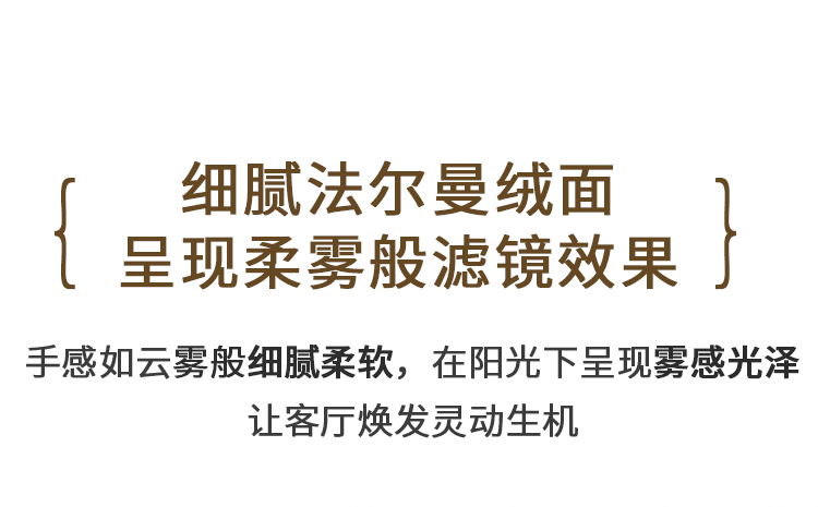 纯色地毯客厅新中式轻奢高级沙发茶几耐脏免洗卧室地垫大面积全铺详情11