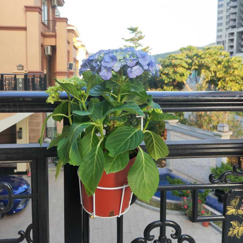 Circular flower pot hanging rack, ironwork guardrail, flower pot hanging rack, balcony hanging flower pot rack, railing rack pic 17