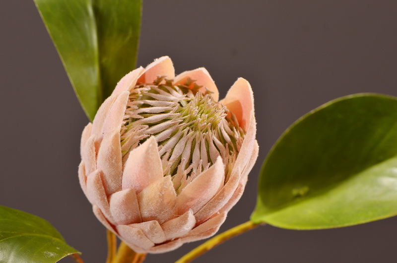 Wholesale of high-end artificial flowers such as faux emperor flower, South African princess flower, flocked faux flowers, hotel banquet table flowers, and homestay decoration pic 6