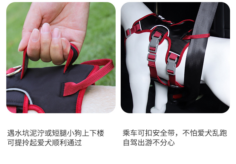 狗狗牵引绳中小型犬宠物胸背带反光防护减震狗狗胸背宠物牵引绳详情12