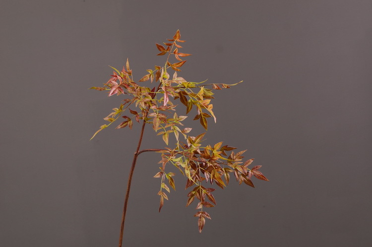 Dongli Source Factory, wholesale and direct sales of artificial plants in stock, wholesale of India leaves, autumn color leaves, hand-held flowers, leaf materials, props, flower art, bonsai, home decoration flowers pic 17