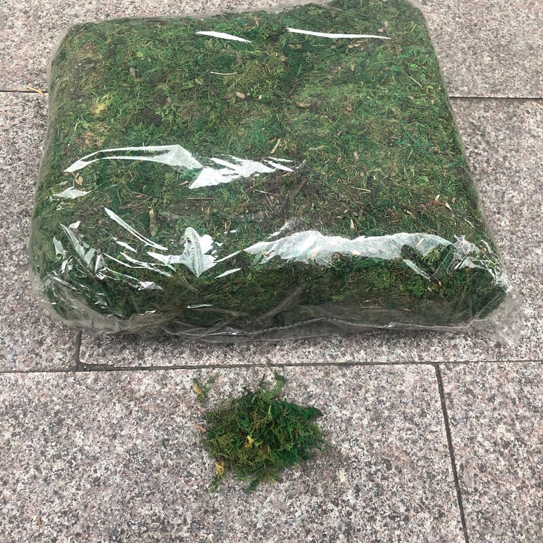 Artificial flowers, artificial lawns, artificial trees, artificial flowers, artificial lawns, artificial tree trunks, water moss, fresh moss, artificial green moss, bonsai, decorative landscaping, green moss, moss grass, artificial flowers, artificial lawns, artificial trees pic 4