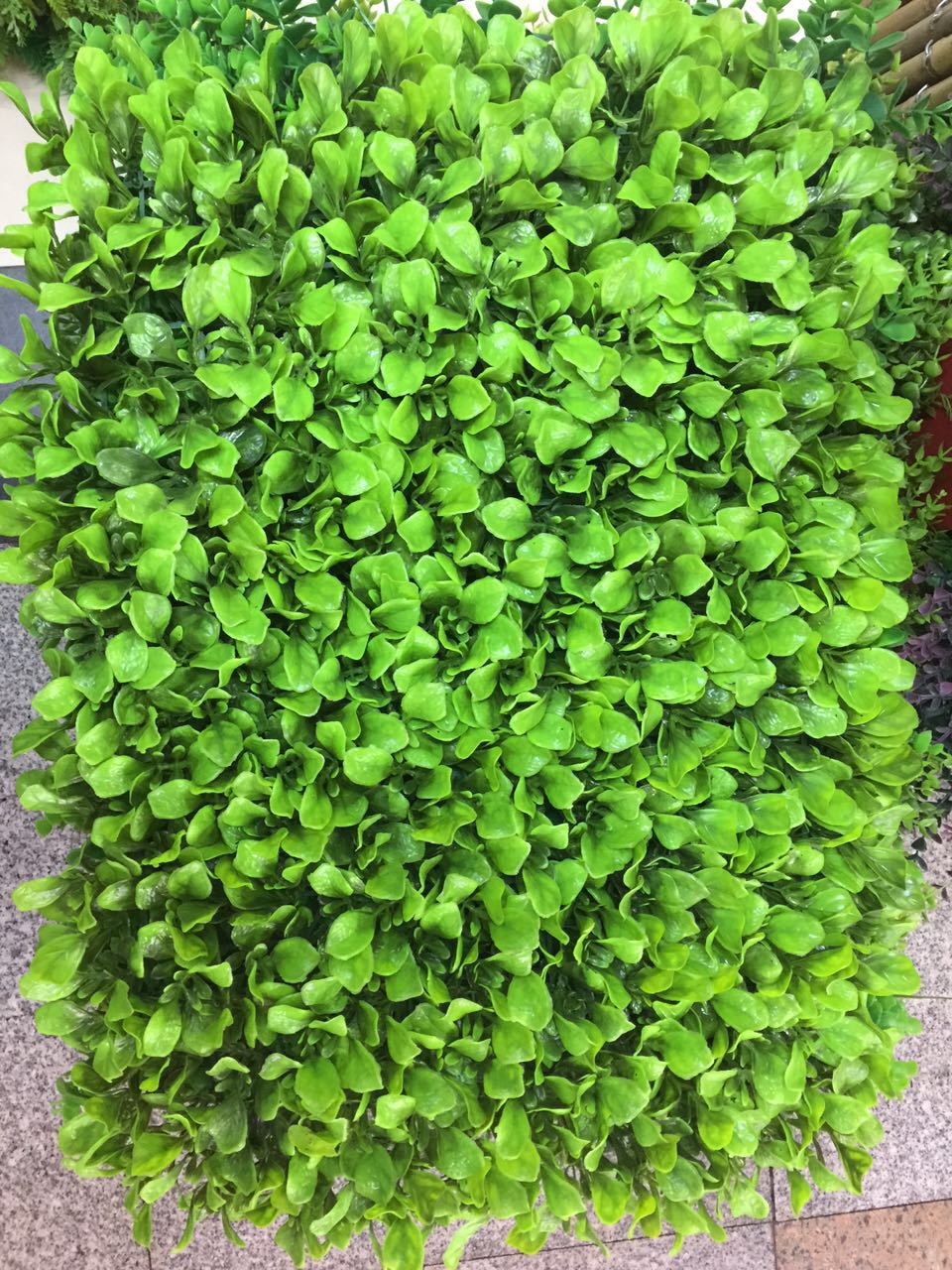 Artificial flowers, artificial lawns, artificial trees, artificial flowers, artificial lawns, artificial trees, artificial cabbage lawns, artificial plastic lawns, artificial lawns, artificial lawns, plant walls as base. Factory direct sales of artificial flowers, artificial lawns, and artificial trees pic 1
