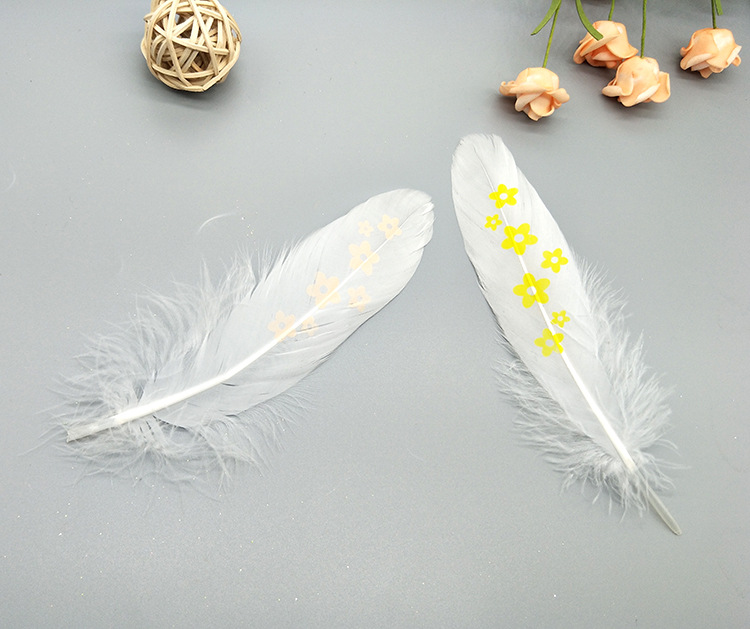 A large quill feather gift box with all-gold and all-silver feathers, paper card bookmarks and decorative quill pens pic 74