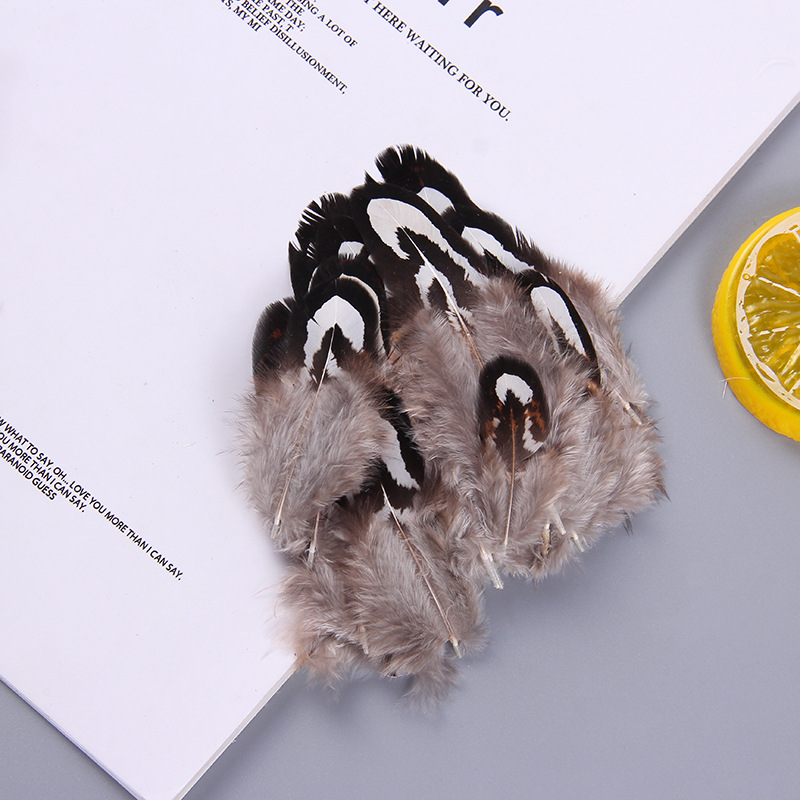 厂家批发珍珠鸡毛彩色羽毛 服装DIY手工工艺品饰品耳环材料野鸡毛详情18