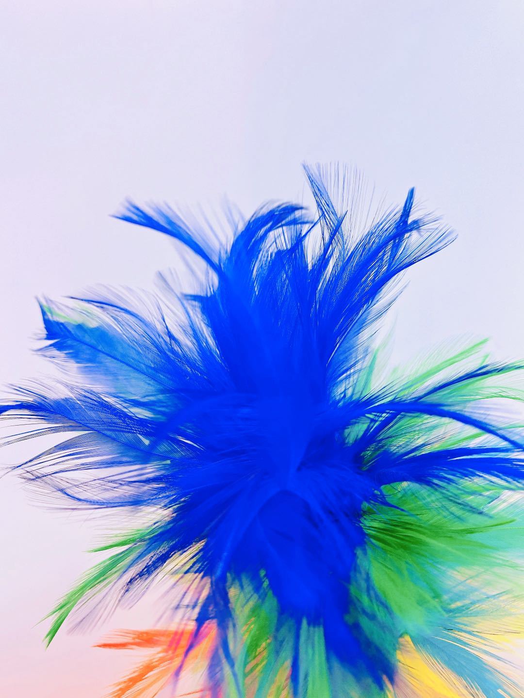 Factory clearance sale of feather wire flower diy clothing, props, hats, accessories, 30cm colorful feather corsages pic 23