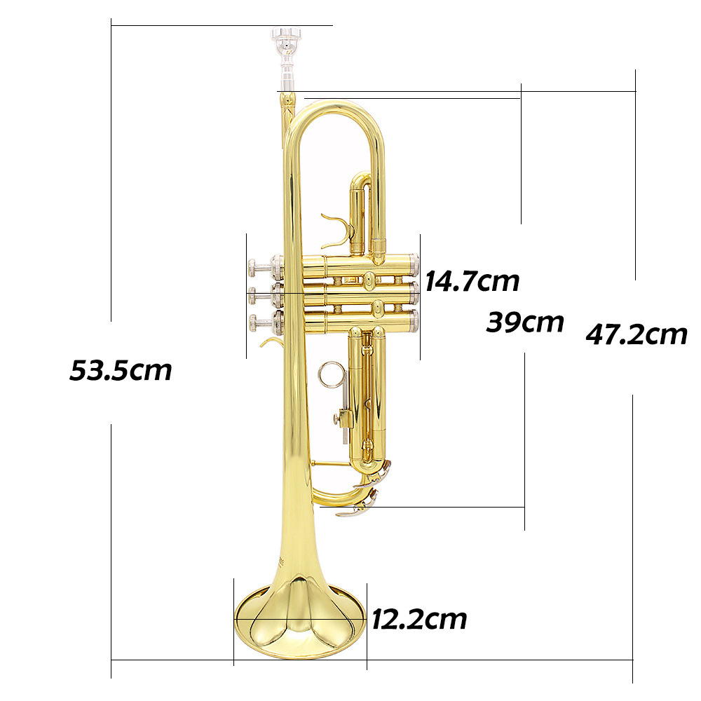 SLADE trompeta en si bemol importado latón cuerpo tubo fósforo cobre color principiante práctica banda tocando trompeta trompeta wholesale pic 3