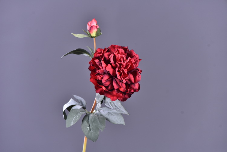 Factory direct sales of 2 simulated peonies, retro charred edge simulated peonies, soft decoration floral art for living rooms, lobbies and homestays pic 56