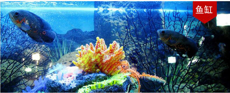 波茵 冰箱知音冰柜冰箱温控器冰箱伴侣省电温控器定时器B-196B详情9