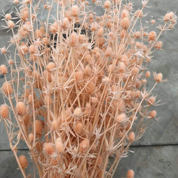 微信图片_20180626132011_副本