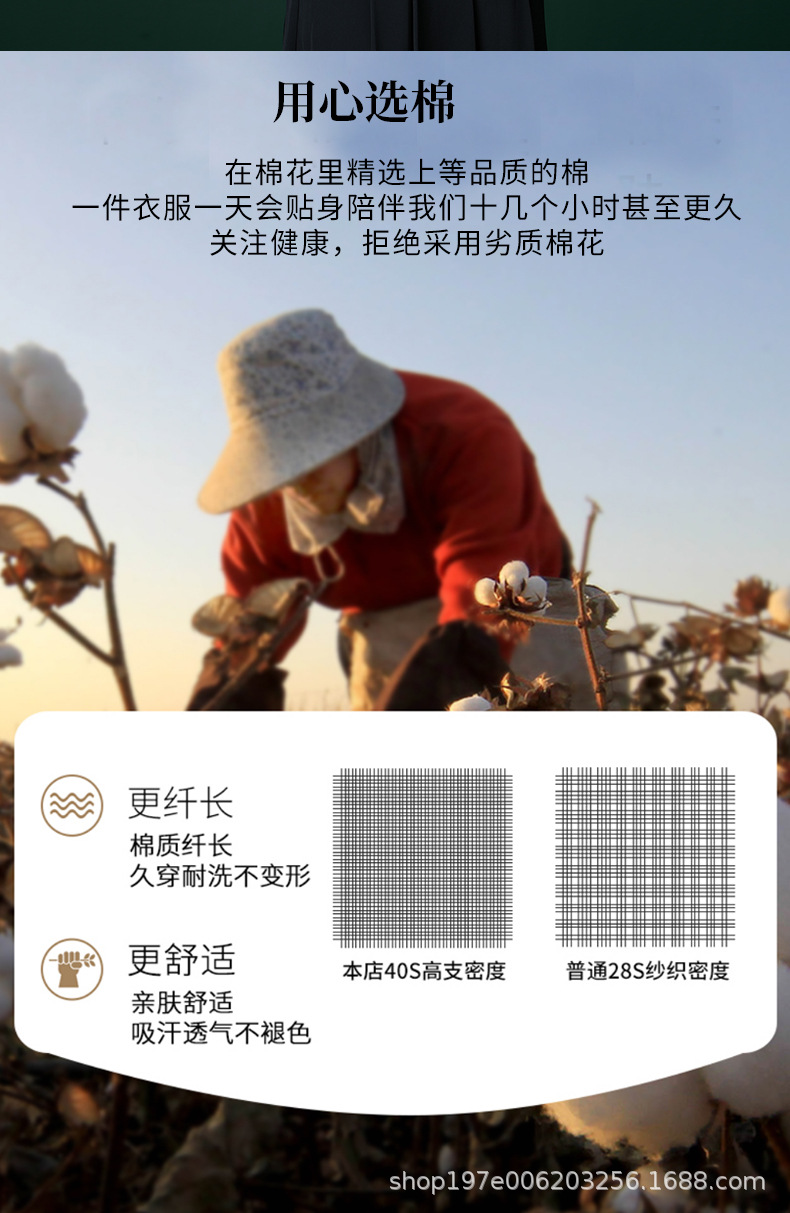 描述图5.jpg