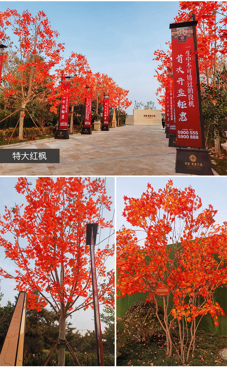 仿真榕树叶过胶塑料榕树枝绿色植物银杏红枫叶子假树枝装饰造景详情7