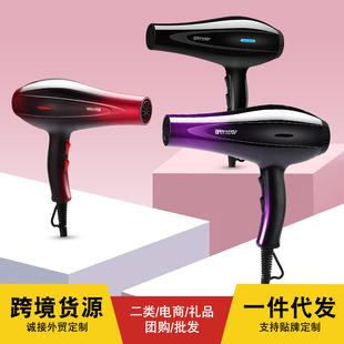 跨境台湾110V爆款网红锤子吹风机家用宿舍冷热风负离子电吹风批发详情1
