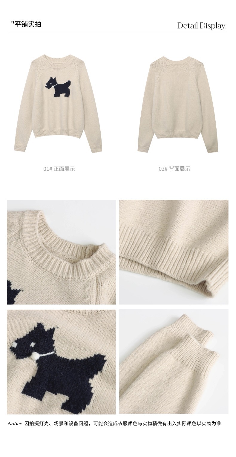 3th Morning North Island Park Korean Style Youthful Dog Embroidered Round Neck Pullover Sweater ZY2381 pic 20