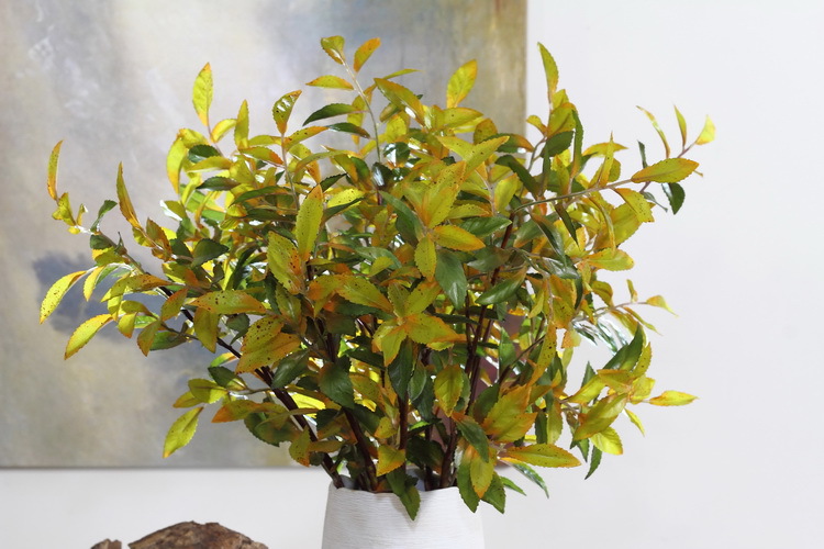 Dongli Factory direct sales, wholesale of olive leaf branches, artificial leaves, artificial leaves, Ins-style interior decoration, flower arrangement plants, wall accessories, artificial green plants pic 17