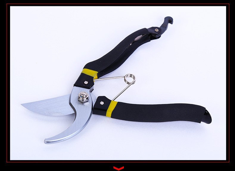 台湾青藤木园林剪刀 修枝剪 果枝剪 防滑耐磨黑黄手柄 花枝修剪详情14