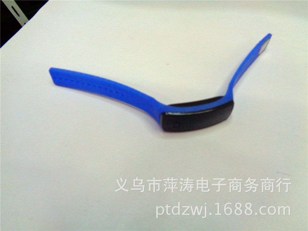 DSC04537