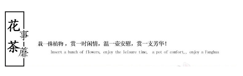 杰航新款花盆陶瓷大号带托盘创意家用阳台蝴蝶兰花盆多肉透气花盆详情1