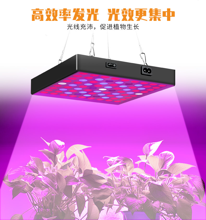 谦润照明100W植物灯LED80W多肉补光2000W温室灯大棚50W大功率400W详情9