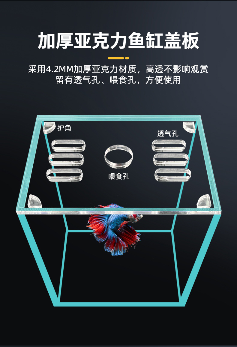 The manufacturer supplies Thai betta fish display fish tanks, golden crystal ultra-white glass small fish tanks, tabletop small fish tanks and betta fish tanks pic 5