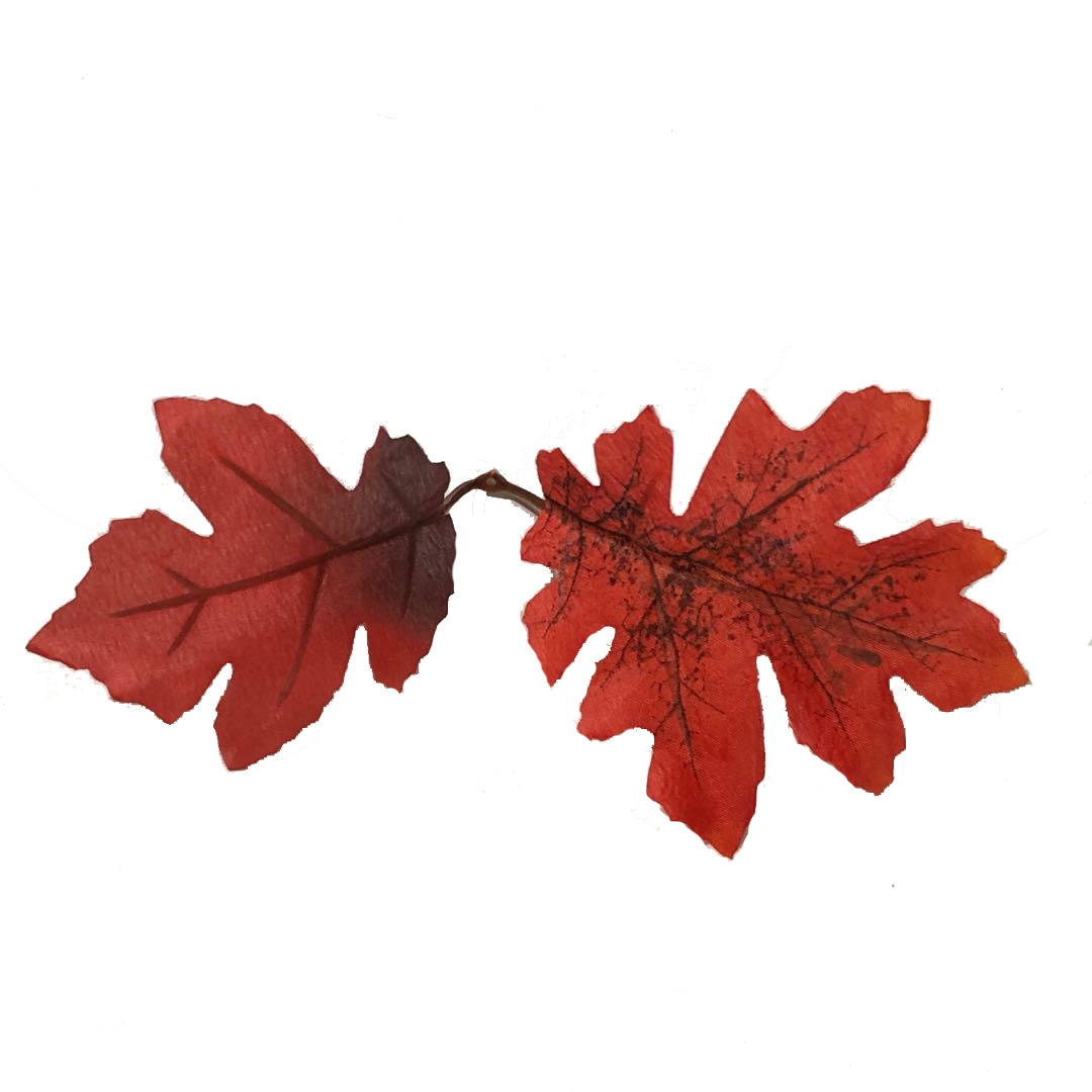 Artificial plant leaves, maple leaves, double-leaf flower arrangement accessories, leaves for engineering greening, outdoor landscaping and decoration, leaf trims pic 11