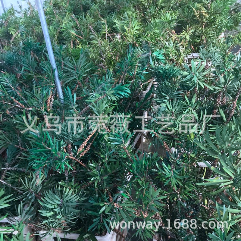 微信图片_20200430151547_副本