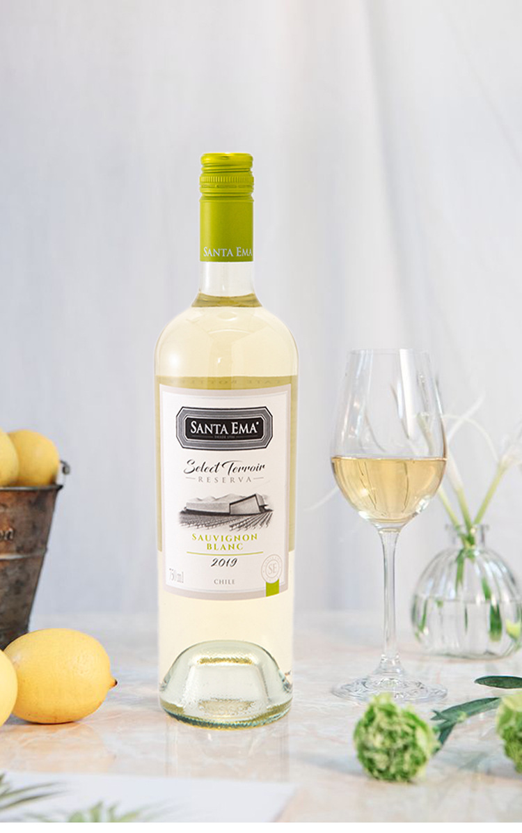 智利原装原瓶进口果香白葡萄酒精选长相思干白葡萄酒现货批发代理详情1