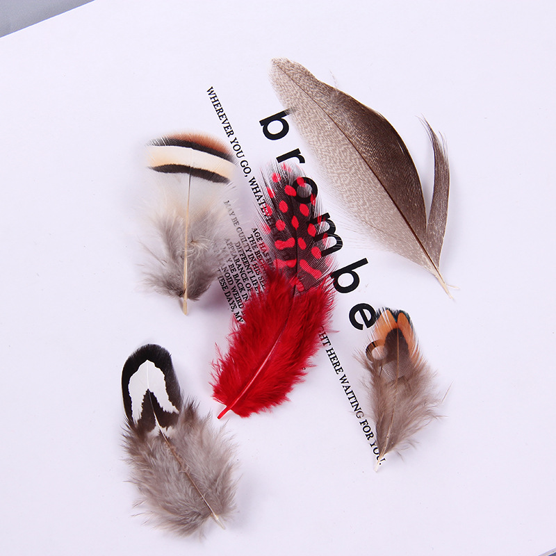 厂家批发珍珠鸡毛彩色羽毛 服装DIY手工工艺品饰品耳环材料野鸡毛详情35